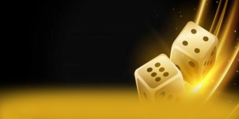 8XBET - Chương trình thưởng liên tục được cập nhật
